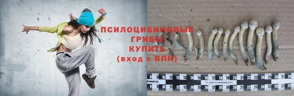 молекула духа Новодвинск
