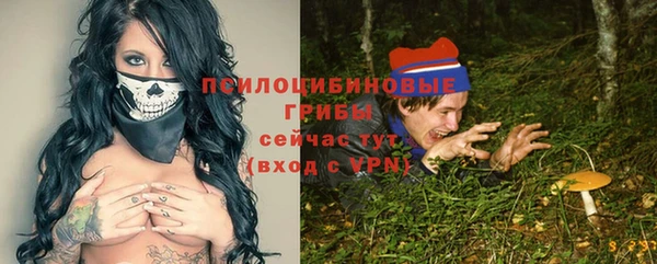 дмт Новозыбков
