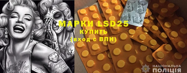 молекула духа Новодвинск