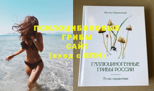 ешки Новокубанск