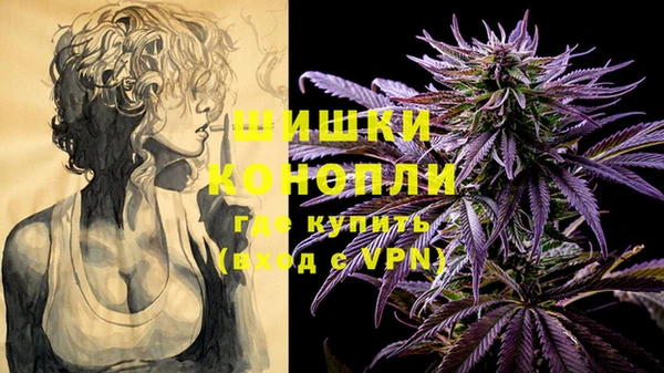молекула духа Новодвинск