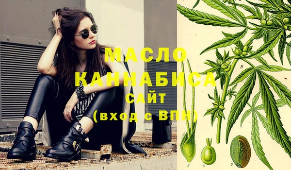 дмт Новозыбков