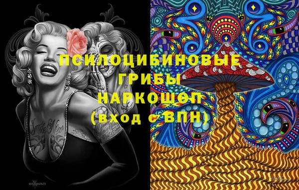молекула духа Новодвинск