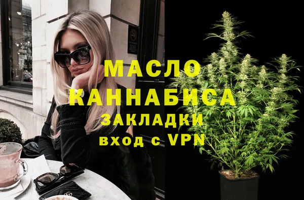 дмт Новозыбков